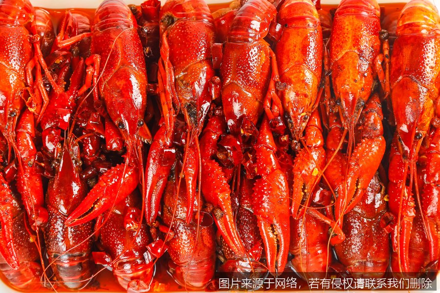 紫苏能不能自己配